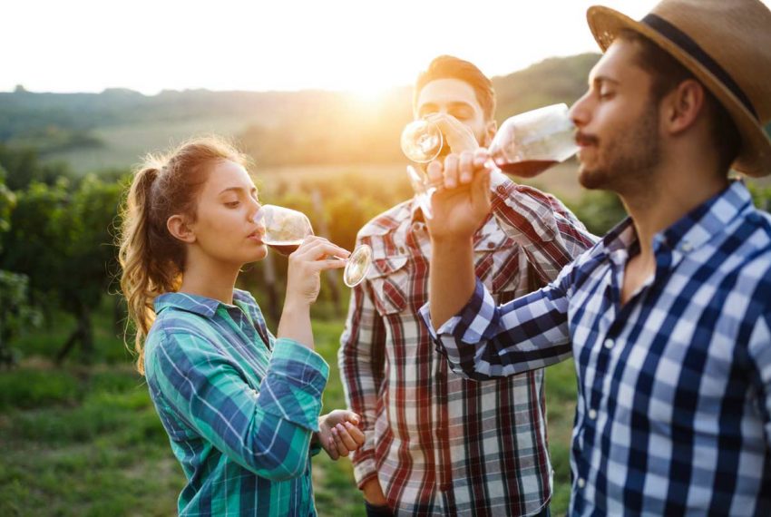 People drinking wine in a field